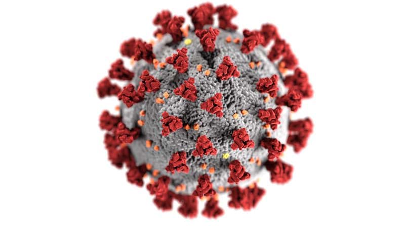 slika koronavirusa